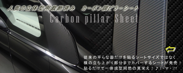 �J�[�{���s���[�V�[�g